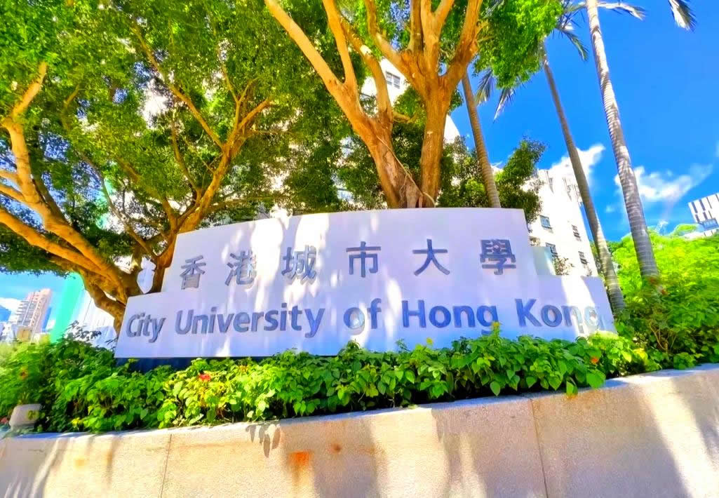 香港城市大学本科入学